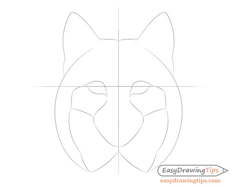 How to Draw a Lynx Face & Head Step by Step - EasyDrawingTips