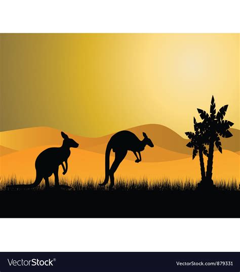 Kangaroo sunset Royalty Free Vector Image - VectorStock