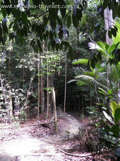 Hiking Ayer Hitam Forest Reserve, Puchong Hill, Selangor, Malaysia