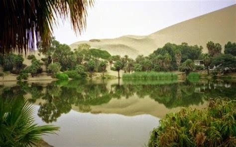 Saudi Arabia's Al Ahsa desert oasis on Unesco's list of World Heritage ...