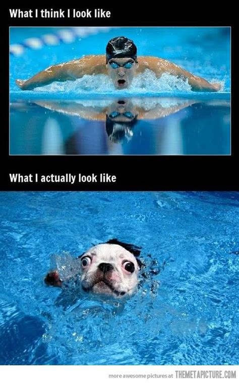 17 Best images about Swimming Humor on Pinterest | Swimming pool tiles, Funny and Swim