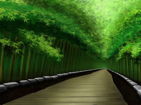 Bamboo Forest Japan Computer Wallpaper - WallpaperSafari