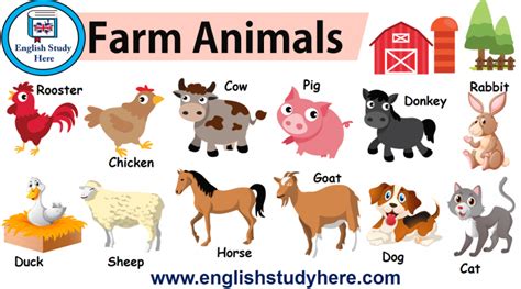 farm animals names Archives - English Study Here