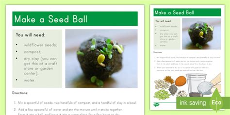 Make a Seed Ball Craft Instructions (teacher made)