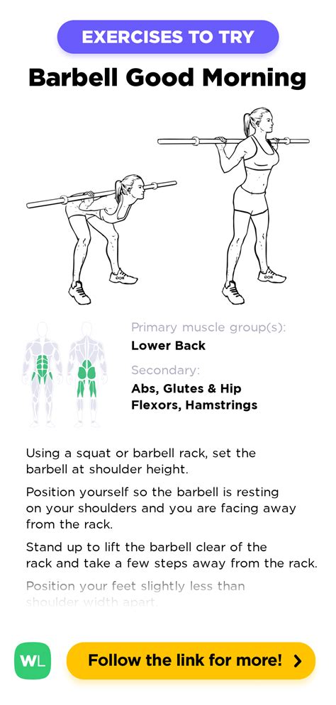 Barbell Good Mornings – WorkoutLabs Exercise Guide