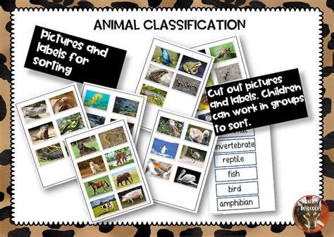 Animal Classification Activities - Etsy