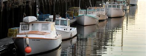 Lobster boats 1 • Harbor Fish Market