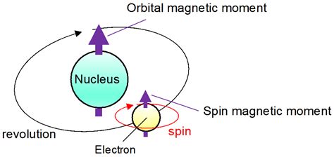 Magnetic Moment Of Atoms, Electrons, Nucleus, Molecules, And Elementary ...