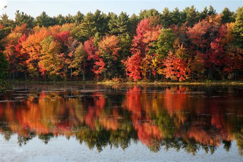 Tips for Shooting Fall Foliage and Autumn Scenes - Tony & Chelsea Northrup