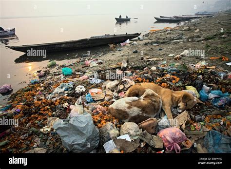 Pollution on the ghats Varanasi, India, Ganges River Stock Photo: 75754657 - Alamy