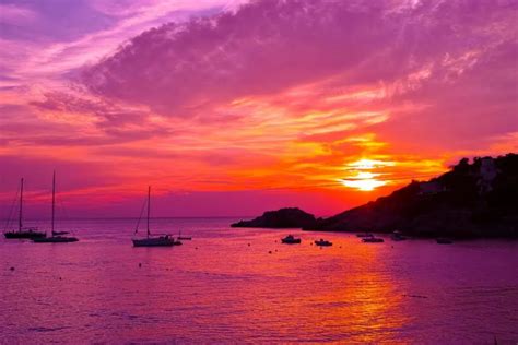 Ibiza Sunset Cruise On Catamaran | TravelON World