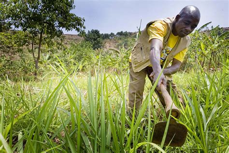 5 Major Ways of How Technology Improves Farming in Africa