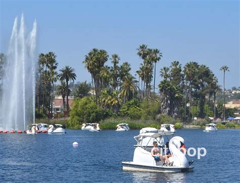 10 BEST Things to do at Echo Park Lake - CityBOP