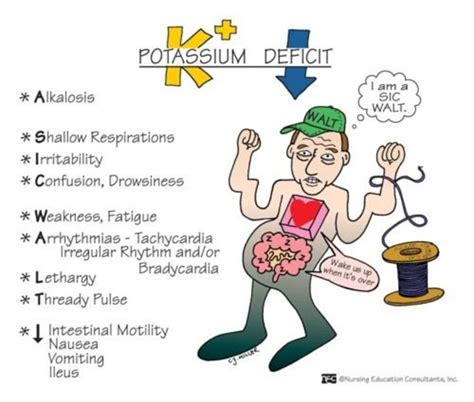 How to Recognize the Signs and Symptoms of Low Potassium Hypokalemia - HubPages