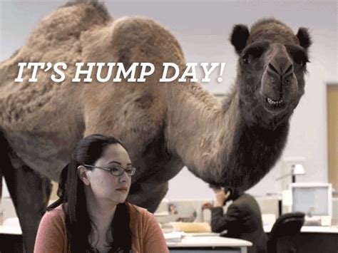 Geico Hump Day Meme