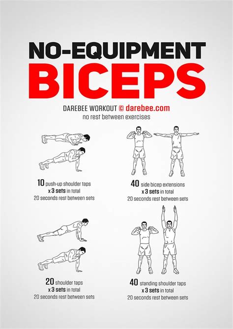 No-Equipment Biceps Workout | Biceps workout at home, Back and bicep workout, Biceps workout