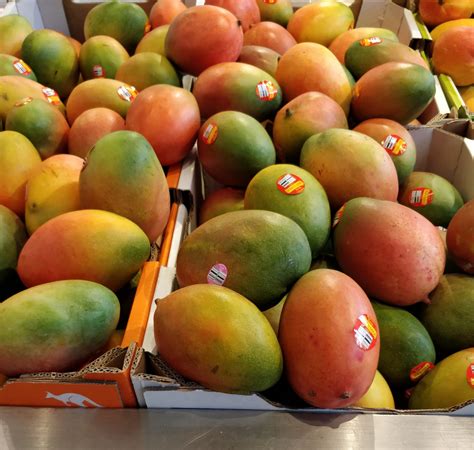 A Complete List Of Mango Varieties - Most Popular - Mango Maven