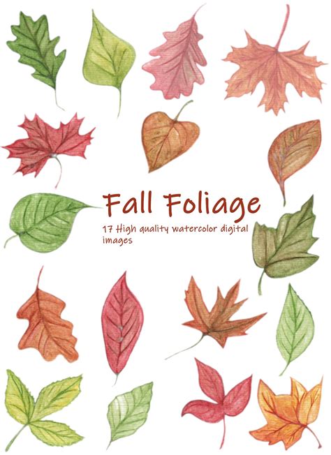 Watercolor Fall Leaves Clipart-autumn Leaves - Etsy