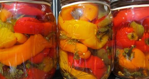 5 Easy Steps To Canning Peppers | Off The Grid News