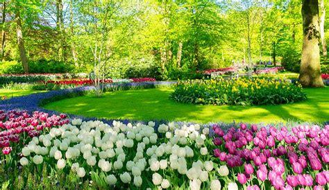 Spring Flowers: Spring Blooming Flowers For Your Garden | Gilmour