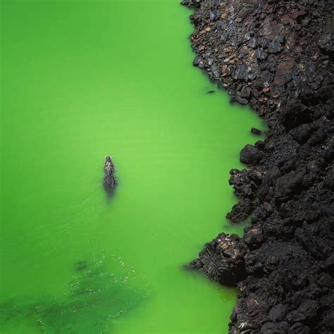 LoveLaikipia on Instagram: "Lake Turkana - Africa's most saline lake and home to the highest ...