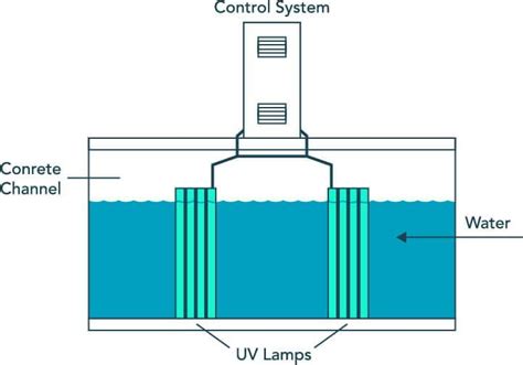 Can A Uv Light Disinfection Water | Shelly Lighting