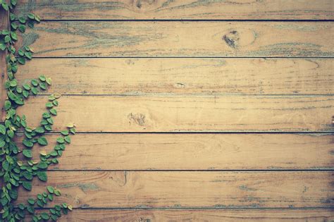 Vine on brown wooden pallet board HD wallpaper | Wallpaper Flare