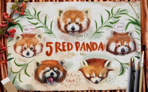 Red Panda Watercolor Illustration By Shark&Croc co. | TheHungryJPEG