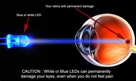 The Harmful Effects Of Blue Light — Optimum Vision and Eye care