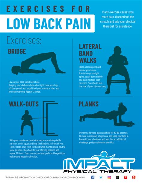 4 Key Exercises For Low Back Pain