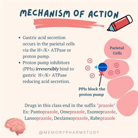 Proton Pump Inhibitors – Memory Pharm