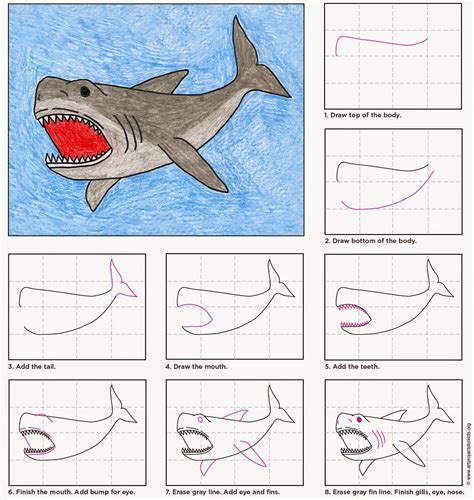 How To Draw A Shark Easy at Drawing Tutorials