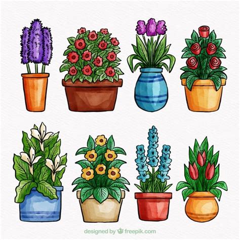 Premium Vector | Set of flowers in pot | Plant drawing, Flower drawing ...