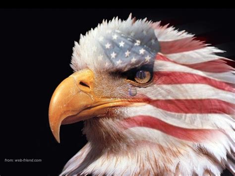 American Flag Eagle