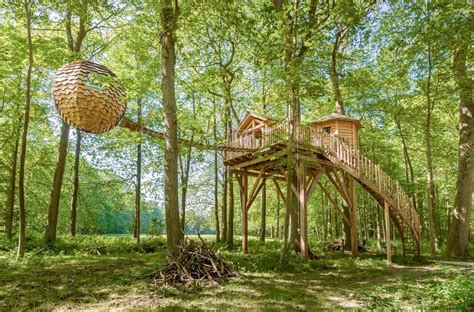 28 Most Amazing Treehouse Designs in the World