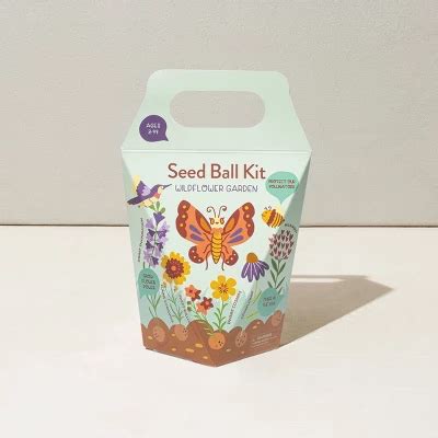 Modern Sprout Diy Garden Seedball Kit - Wildflower : Target