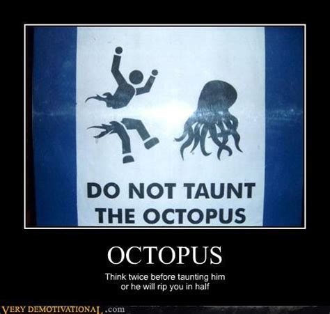 octopus - Meme by kingsnake :) Memedroid