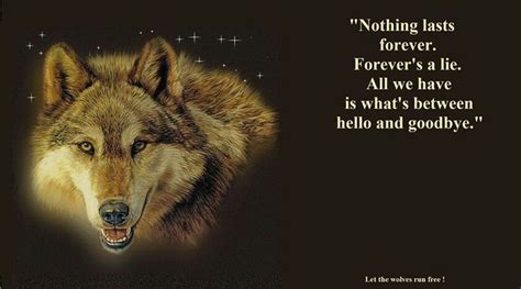 133 best images about Wolf Therian on Pinterest | Wolves, Wolf quotes and A wolf