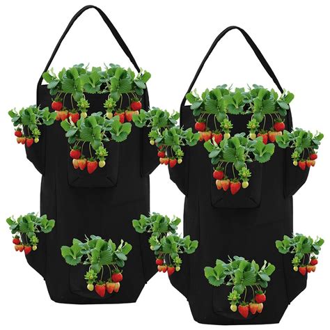 Strawberry Planting Growing Bag 10 Gallons Multi-m... – Grandado