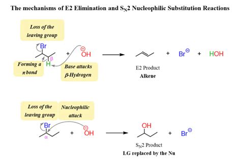 The E2 Reaction Mechanism