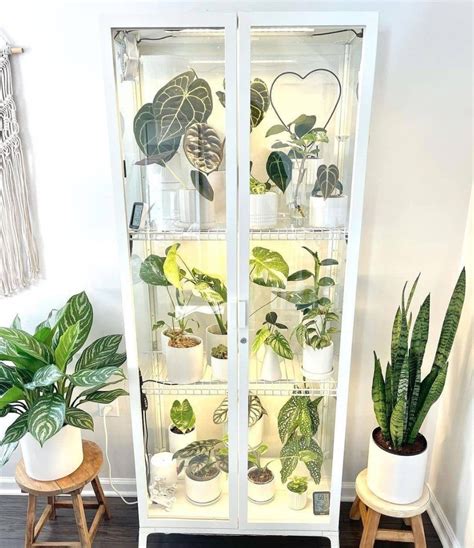 DIY greenhouse using Ikea cabinets - gardenstead