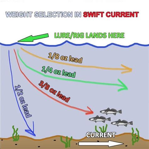 Carolina Rig Instructions For Speckled Trout, Redfish & Flounder