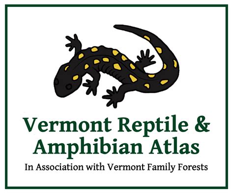 T-carolina face in hand NJ CS | Vermont Reptile and Amphibian Atlas