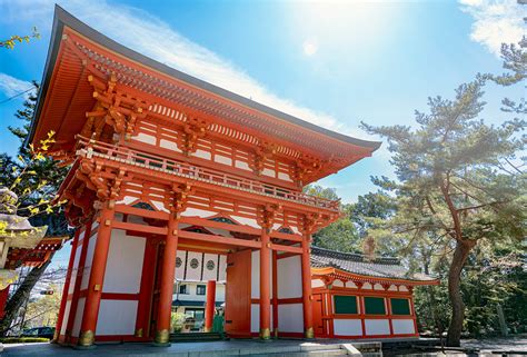 The Beginner's Guide to Japanese Temples and Shrines | Motto Japan ...