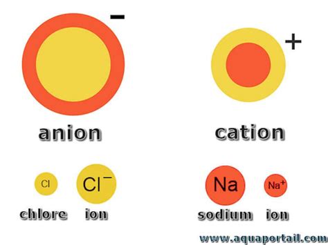 Cation : définition et explications