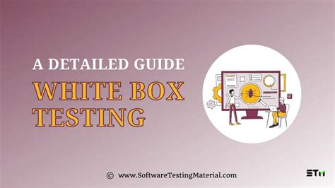 What is White Box Testing and its Types with Examples?