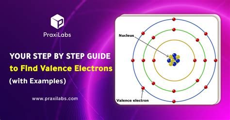 Your Step by Step Guide to Find Valence Electrons -praxilabs