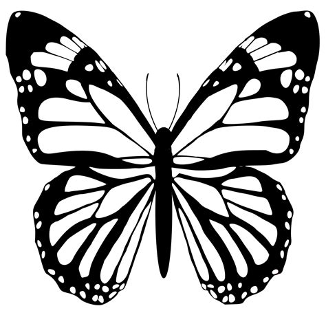 butterfly black and white 24134738 PNG