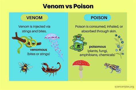 Venom vs Poison - Difference Between Venomous and Poisonous