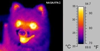 Infrared radiation - Energy Education